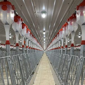 sistem automat de hrănire cu lanț cu discuri pentru porci